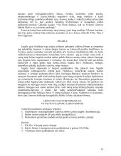 Ikikrikščioniška Lietuva 13 puslapis