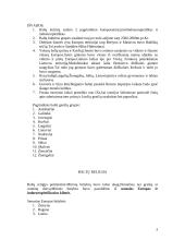 Ikikrikščioniška Lietuva 3 puslapis