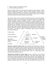 Informacijos ir komunikacijos technologijos - išsami teorija 17 puslapis
