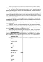 Informacijos ir komunikacijos technologijos raida 4 puslapis