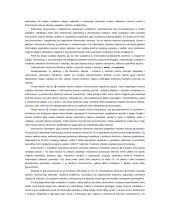 Platus informacinių sistemų pasiruošimas egzaminui 2 puslapis
