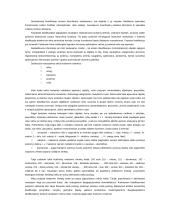 Platus informacinių sistemų pasiruošimas egzaminui 12 puslapis