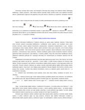 Platus informacinių sistemų pasiruošimas egzaminui 13 puslapis