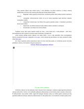 Platus informacinių sistemų pasiruošimas egzaminui 8 puslapis