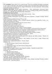 Svarbiausi istoriniai įvykiai 2 puslapis