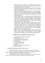 Komercinės teisės subjektai 13 puslapis