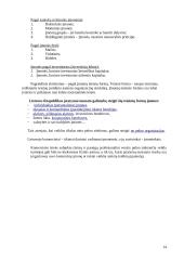 Komercinės teisės subjektai 14 puslapis