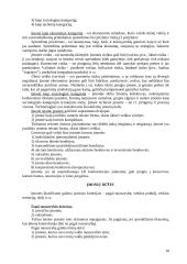 Komercinės teisės subjektai 10 puslapis