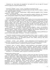 Konstitucinės teisės gera teorija 18 puslapis