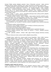 Konstitucinės teisės gera teorija 19 puslapis