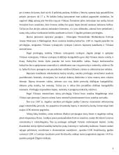 Krėvos sutartis 8 puslapis