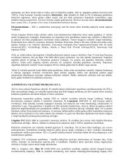 Krikščionybės istorija ir teorija 2 puslapis
