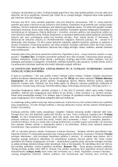 Krikščionybės istorija ir teorija 11 puslapis