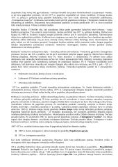 Krikščionybės istorija ir teorija 12 puslapis