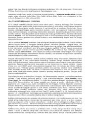 Krikščionybės istorija ir teorija 13 puslapis