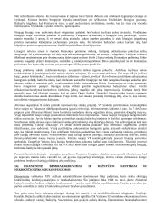Krikščionybės istorija ir teorija 14 puslapis
