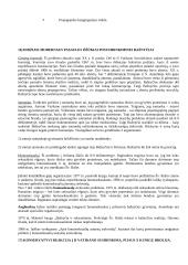 Krikščionybės istorija ir teorija 16 puslapis