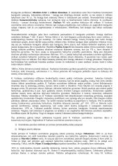 Krikščionybės istorija ir teorija 17 puslapis