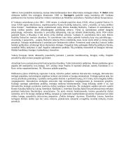 Krikščionybės istorija ir teorija 19 puslapis