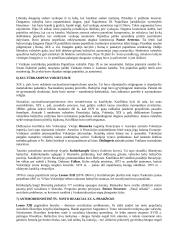 Krikščionybės istorija ir teorija 4 puslapis