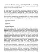Krikščionybės istorija ir teorija 7 puslapis