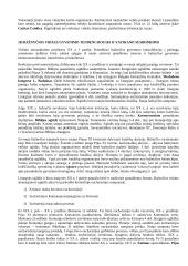 Krikščionybės istorija ir teorija 8 puslapis