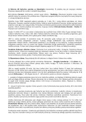 Krikščionybės istorija ir teorija 10 puslapis