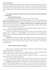 Krikščioniškas socialinis mokymas 15 puslapis