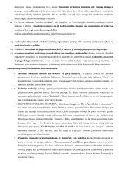 Krikščioniškas socialinis mokymas 18 puslapis