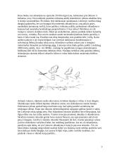 Lietuvių sklandymas ir jo istorija 3 puslapis