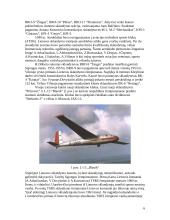 Lietuvių sklandymas ir jo istorija 6 puslapis