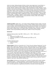 Lietuvos proistorė XI – X t. pr. Kr. Iki XIII a.  11 puslapis
