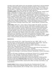 Lietuvos proistorė XI – X t. pr. Kr. Iki XIII a.  10 puslapis