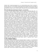 Lietuvos Respublikos Konstitucinė teisė - medžiaga pasiruošti egzaminui 11 puslapis