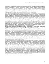 Lietuvos Respublikos Konstitucinė teisė - medžiaga pasiruošti egzaminui 19 puslapis