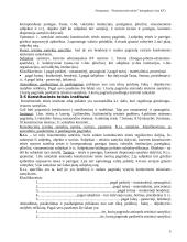 Lietuvos Respublikos Konstitucinė teisė - medžiaga pasiruošti egzaminui 5 puslapis