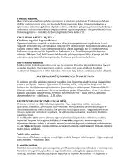 Maisto gaminimo technologijos 6 puslapis
