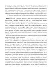 Makedonijos istorija 5 puslapis