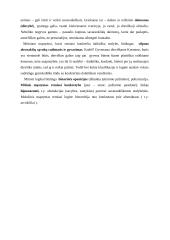 Mito vaidmuo ir vieta antikiniame pasaulyje 5 puslapis