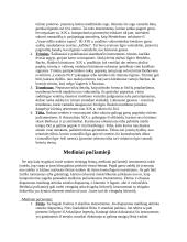 Muzikos instrumentai (lietuvių liaudies, styginiai, pučiamieji) 4 puslapis
