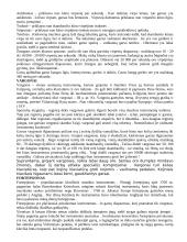 Senieji muzikos instrumentai 2 puslapis