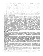 Senieji muzikos instrumentai 8 puslapis