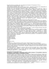 Naujasis baudžiamasis kodeksas 3 puslapis