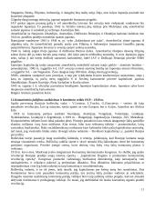 Naujausiųjų laikų istorija. Nuo Paryžiaus taikos konferencijos 11 puslapis