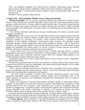 Naujausiųjų laikų istorija. Nuo Paryžiaus taikos konferencijos 4 puslapis