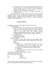 Nutukimo etiologija ir formos bei pasekmės 2 puslapis