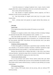 Operacinės sistemos - teorija egzaminui 20 puslapis