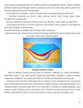 Pasaulio vandenynas 12 puslapis