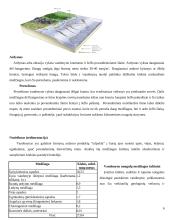 Pasaulio vandenynas 6 puslapis
