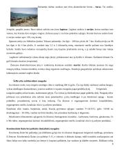 Pasaulio vandenynas 8 puslapis